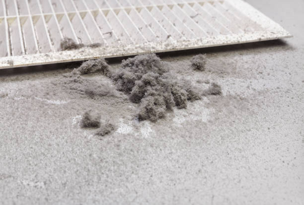 Best HVAC Duct Inspection Services  in Kalida, OH