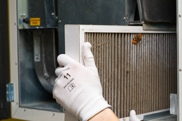 Best Home Air Vent Cleaning  in Kalida, OH