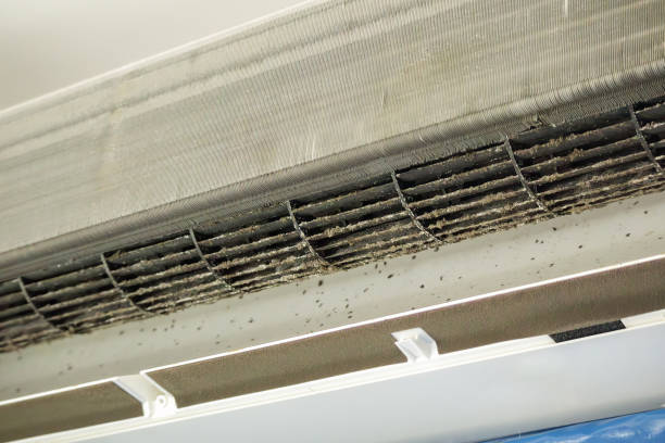 Best Commercial HVAC Duct Cleaning  in Kalida, OH