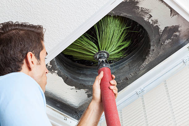 Best Air Duct Cleaning Near Me  in Kalida, OH