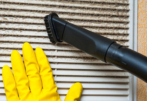 Best Air Vent Cleaning Services  in Kalida, OH